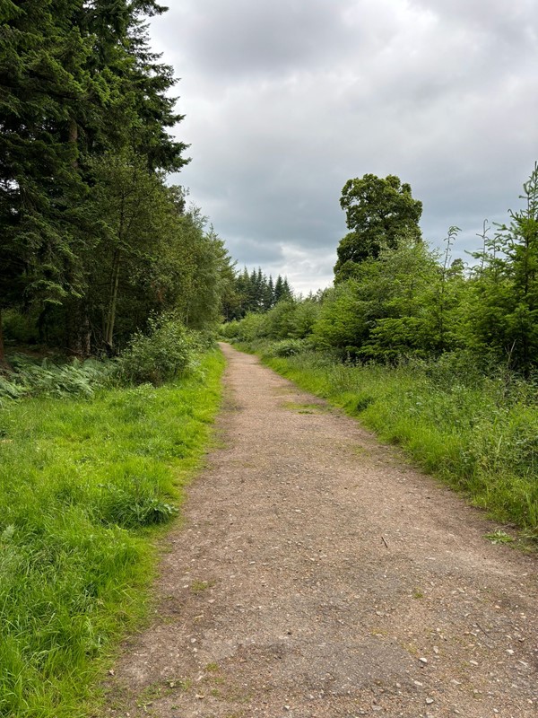 Image of a path