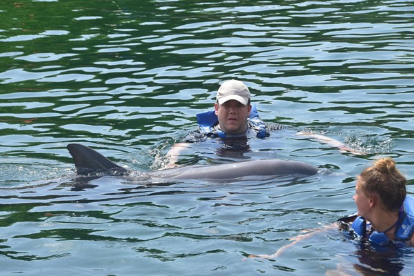 Delphinus at Xel-Ha