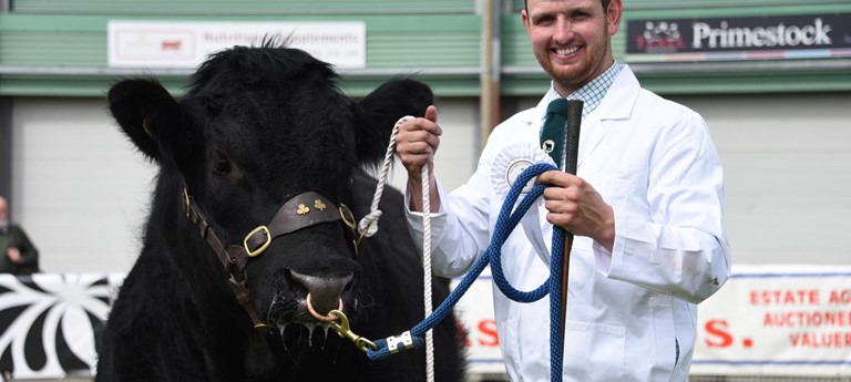 Smallholding & Countryside Festival