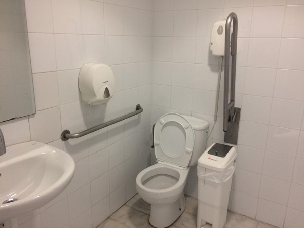 Photo of the accessible toilet.