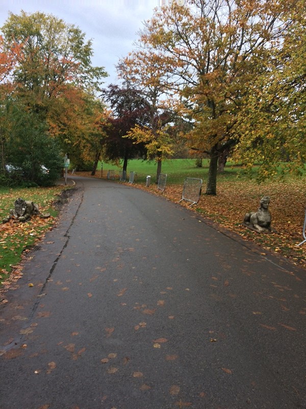 Main access path/road from car park to the Castle and Cafe