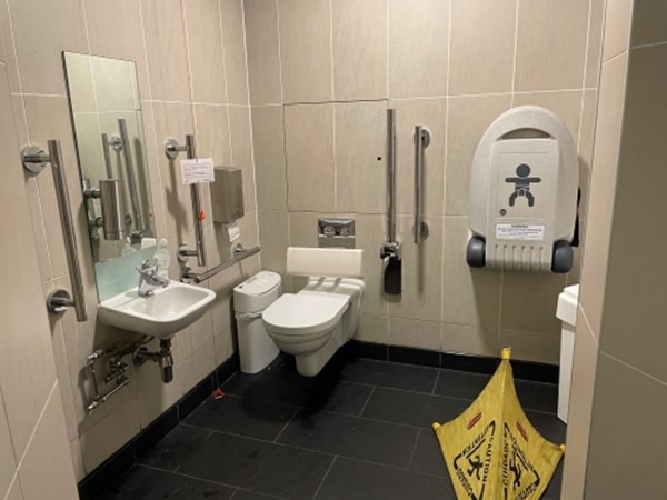 Image of an accessible toilet