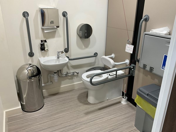 Image of an accessible toilet a sink and a bin