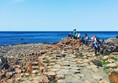 View of the Giant’s Causeway on a sunny day.