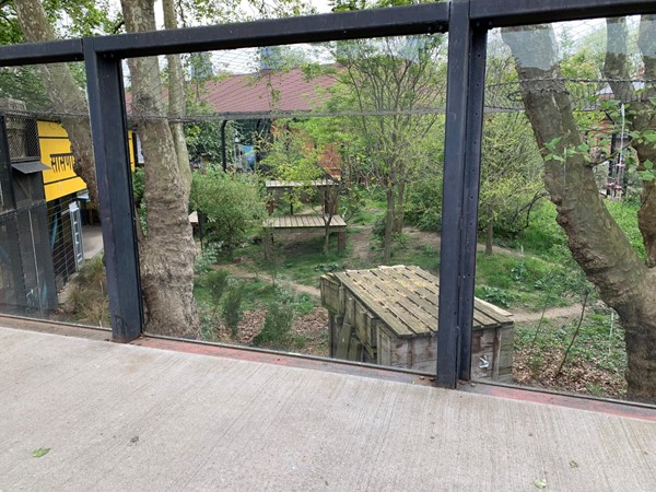 Picture of some wooden sheds behind a window