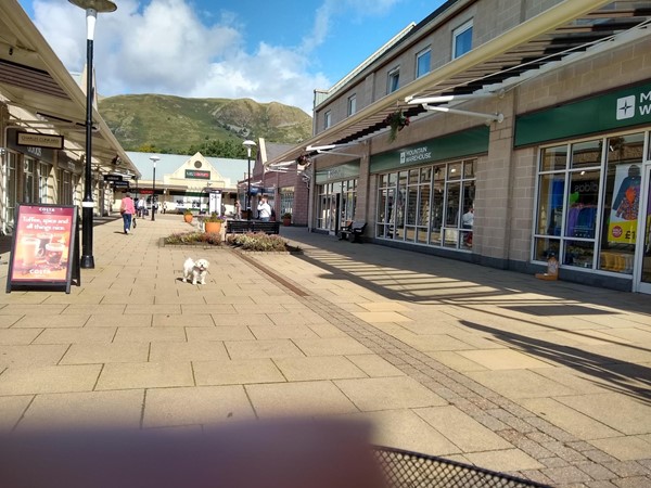 Dogs are welcome and the Ochil hills are a beautiful backdrop.