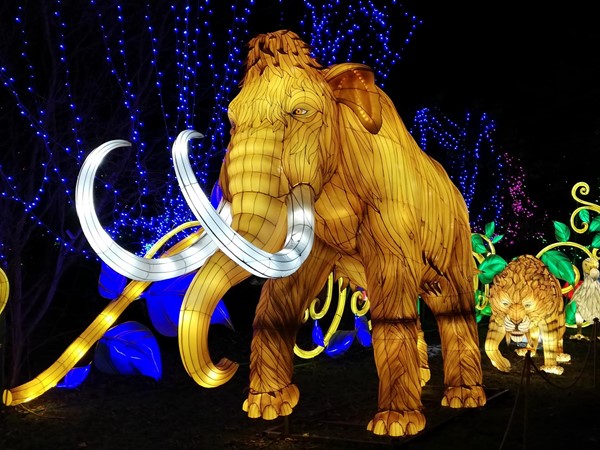 Mammoth Lantern