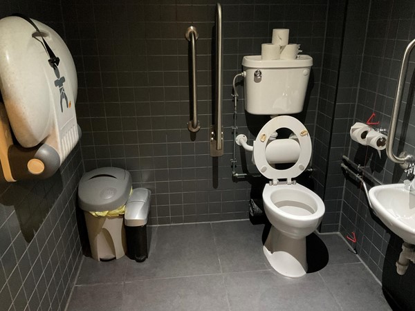 Accessible toilet