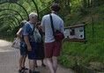 Picture of Alternative Wolf and Bear Park Black Forest, Freudenstadt