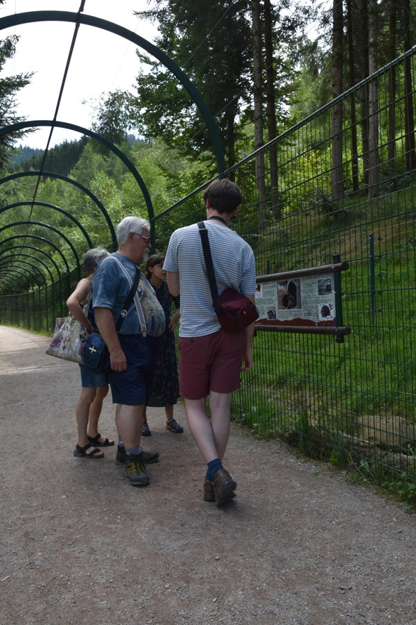 Picture of Alternative Wolf and Bear Park Black Forest, Freudenstadt