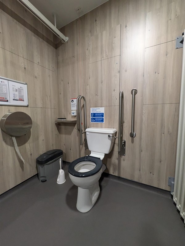 Image of accessible toilet