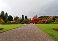 Gravel path going down the centre of the garden. The trees are vibrant reds and oranges as it is autumn.