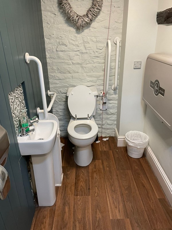 Picture of an accessible toilet