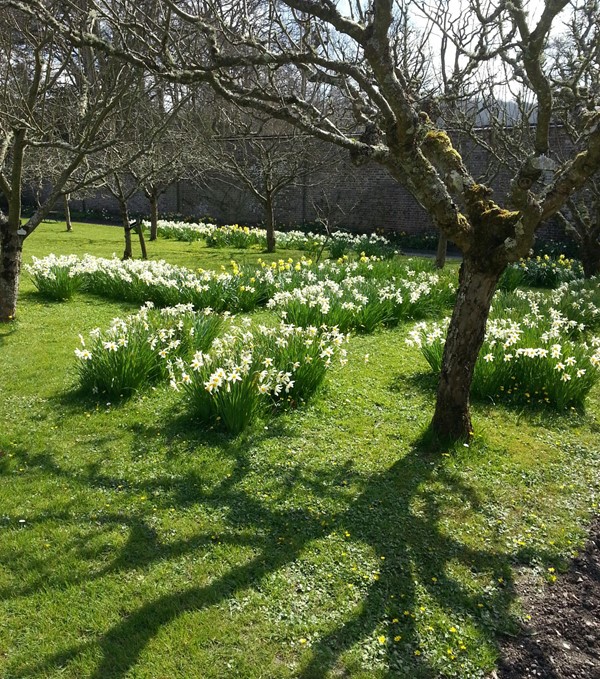 Llanerchaeron