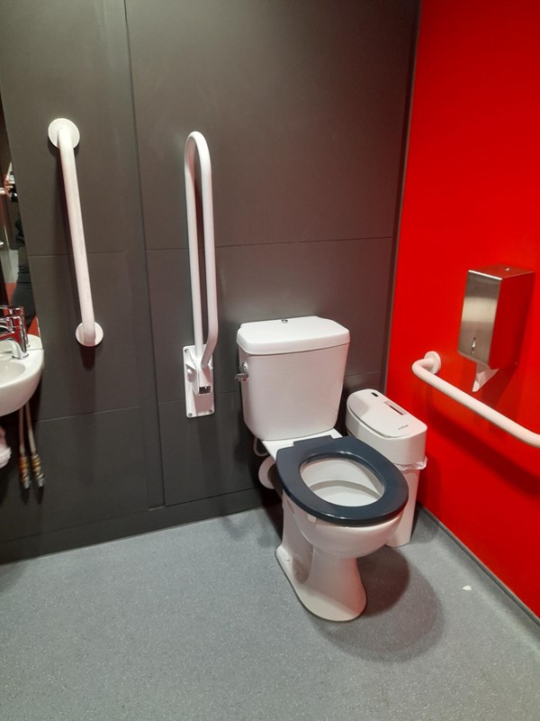 Picture of an accessible toilet