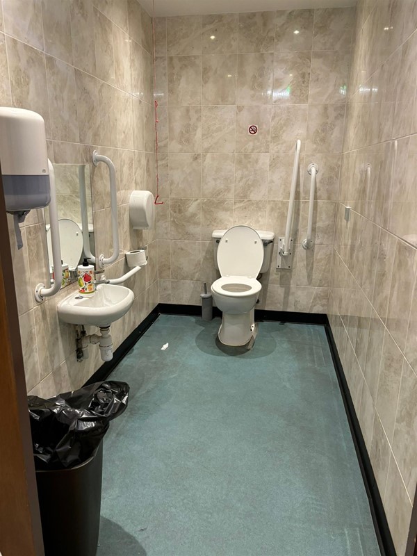 Image of an accessible toilet