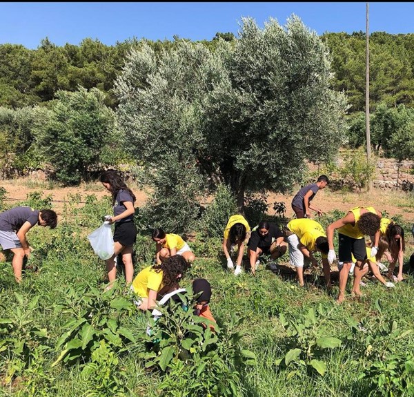 Our volunteers and participants collect the products from the organic field and gain information.