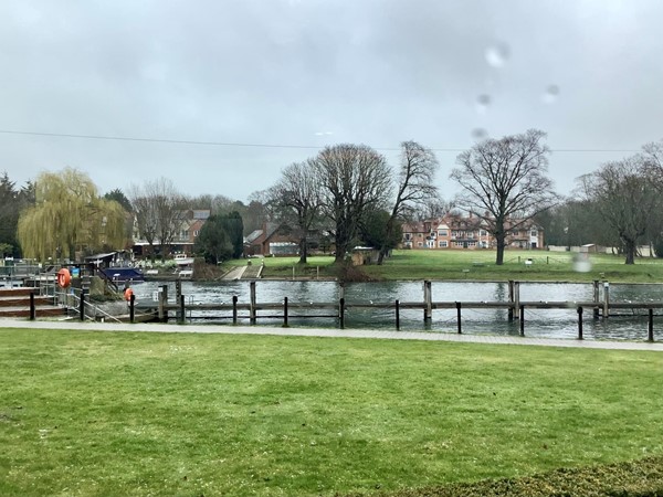 Image of a body of water with a bridge and grass and trees