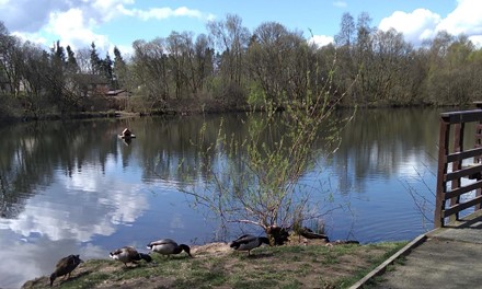 Doune Ponds