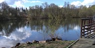 Doune Ponds