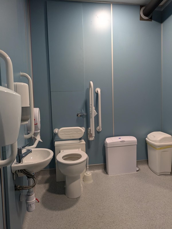 Image of toilet and sink in the accessible toilet