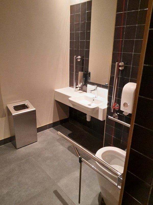 Image of an accessible toilet