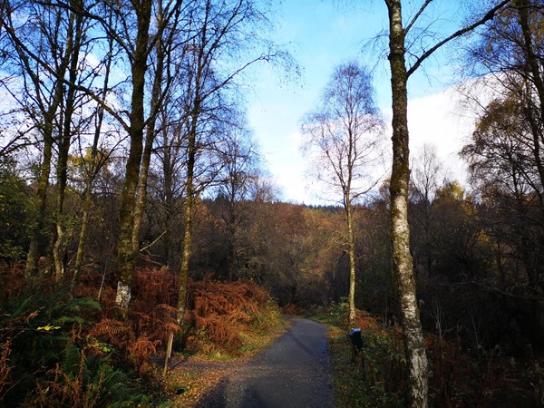 Picture of The Lodge Forest Visitor Centre, Stirling