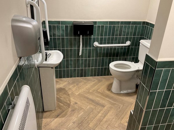 Picture of the accessible toilet with handrails