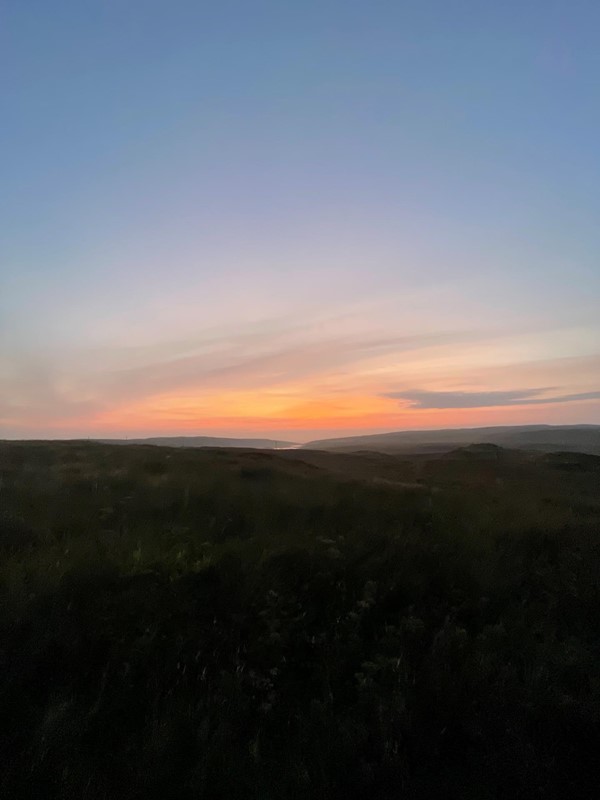 Image of sunset over a field