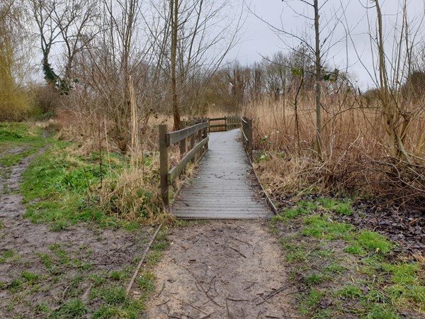 Picture of Logan's Meadow