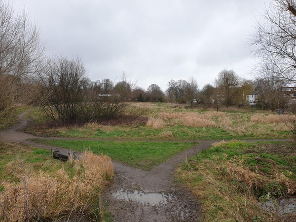 Picture of Logan's Meadow