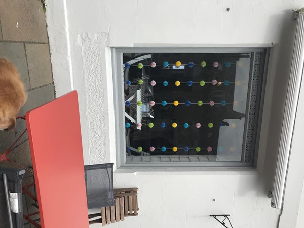 Front of shop with table in foreground.