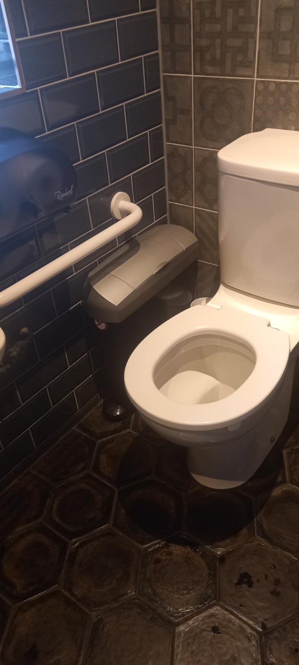 Image of The Beehive accessible toilet