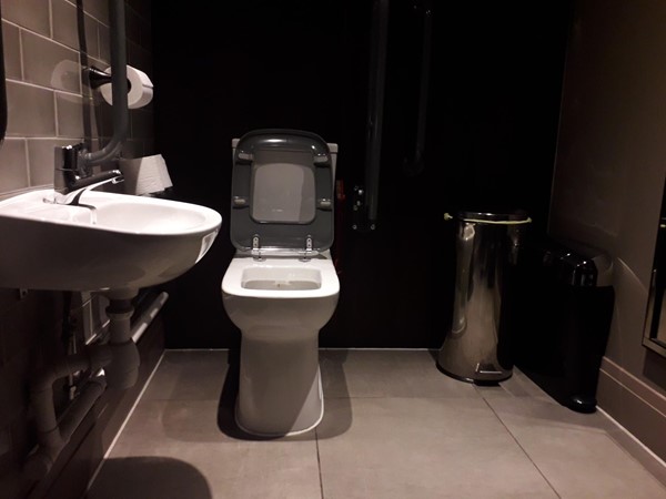 Accessible Toilet