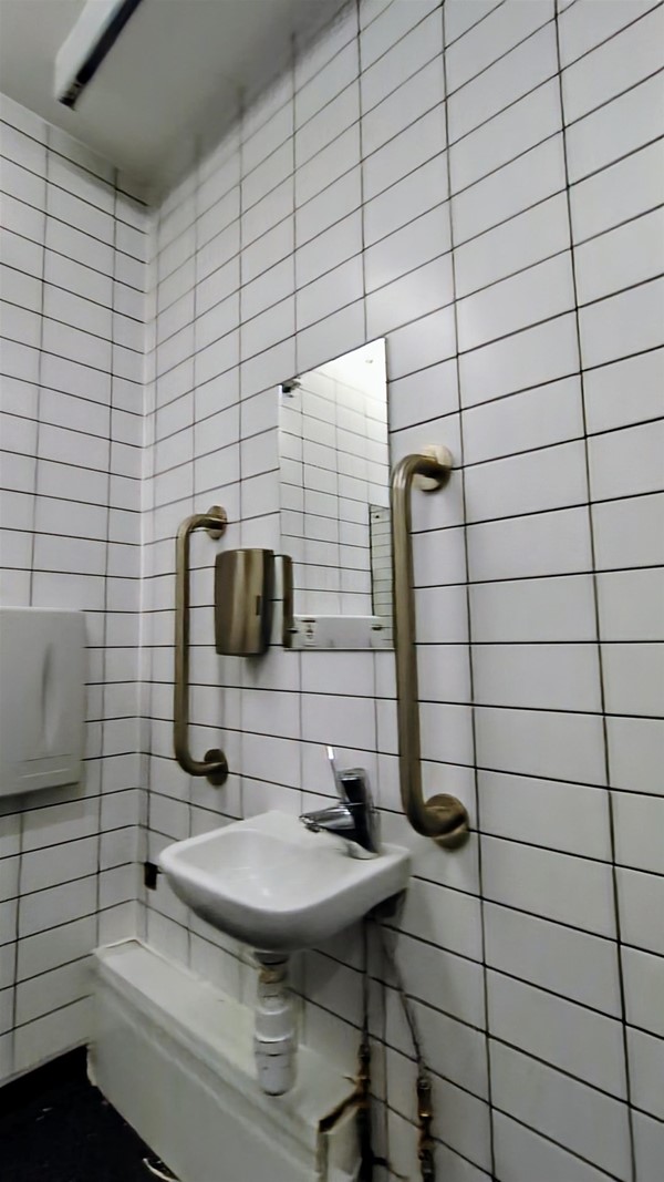 Image of sink and rails in the Changing Places toilet