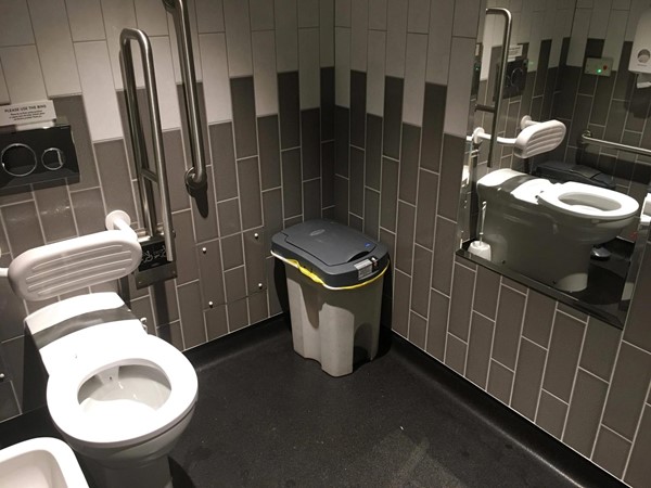 Image of the accessible toilet showing the toilet and the transfer space.