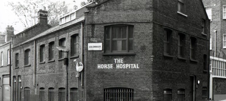 The Horse Hospital