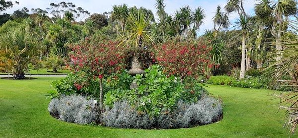 Picture of Logan Botanic Gardens