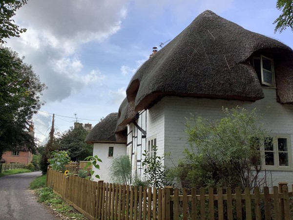 Thatched houses