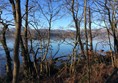 Picture of Brockhole The Lake District Visitor Centre