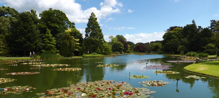 Burnby Hall Gardens & Museum