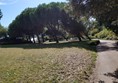 Picture of Lower Leas Coastal Park