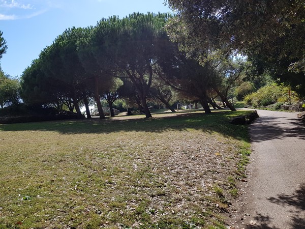 Picture of Lower Leas Coastal Park