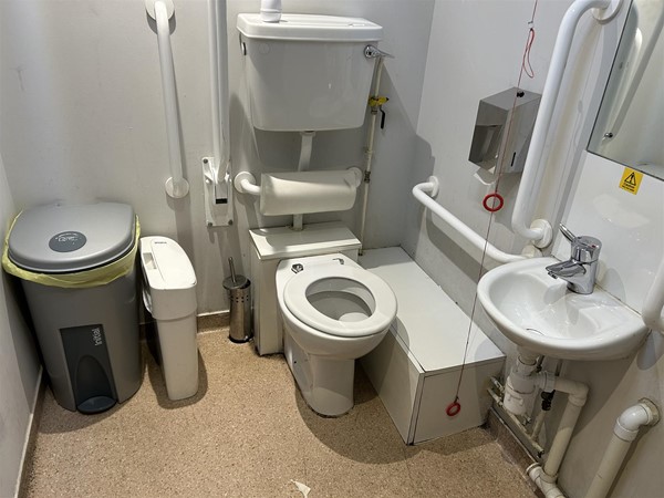 Image of an accessinle toilet