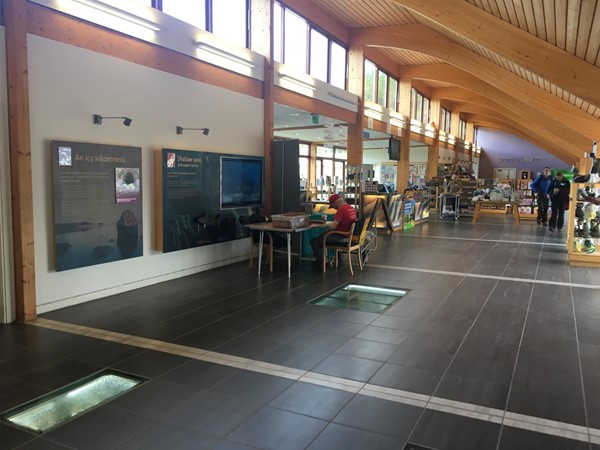 Picture of WWT Castle Espie Wetland Centre