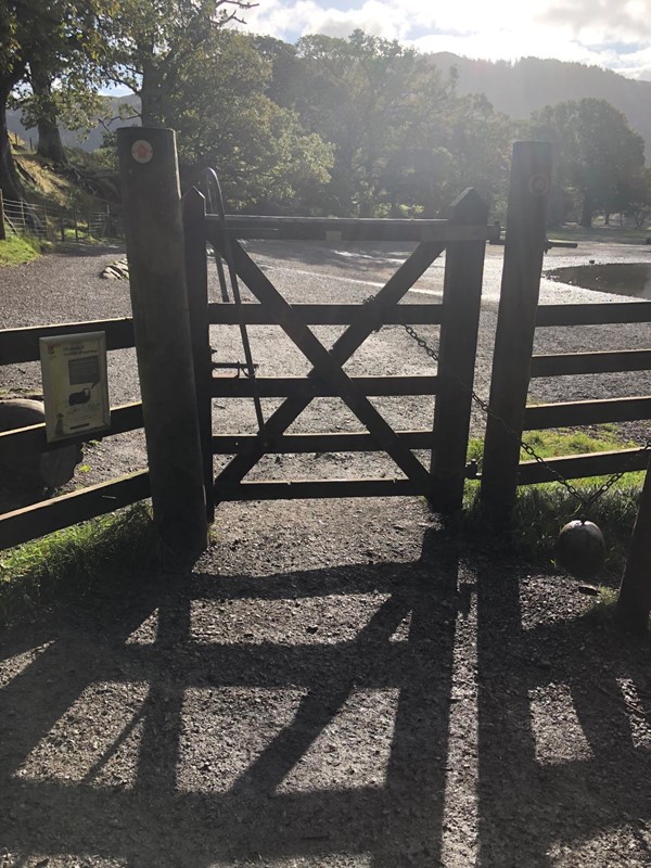 Picture of Derwent Water Walk