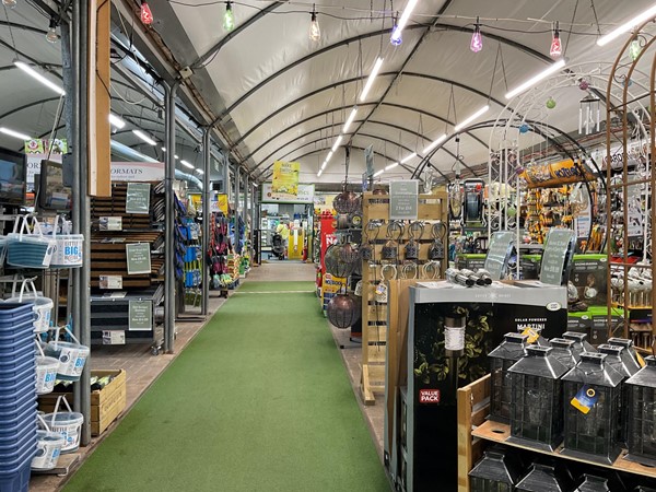 Image of a green carpet inside a store