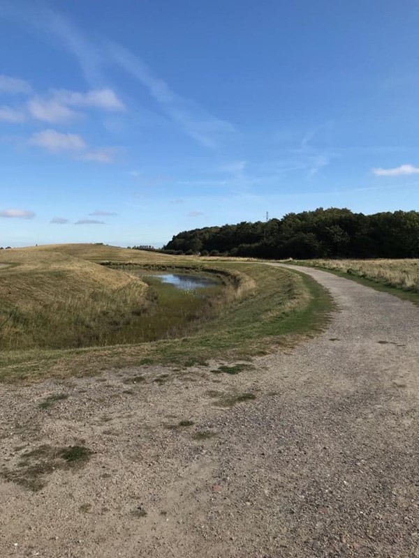 Picture of Northumberlandia