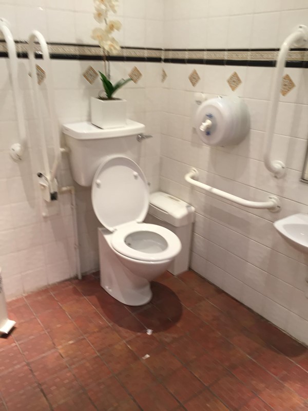 Accessible loo.