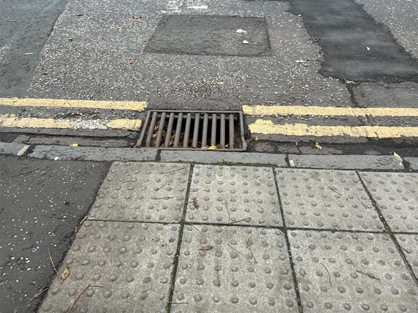 A slightly raised, cobbled and dipped pavement with a storm drain.